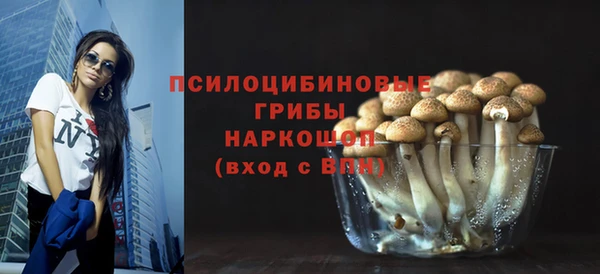спиды Мегион