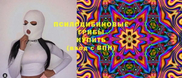 спиды Мегион