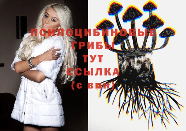 спиды Мегион